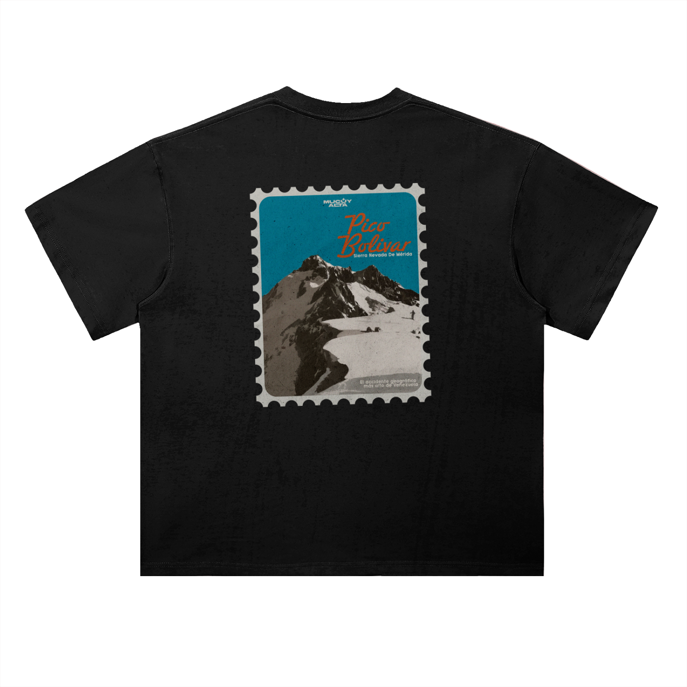 Pico Bolívar Stamp T-Shirt
