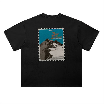 Pico Bolívar Stamp T-Shirt