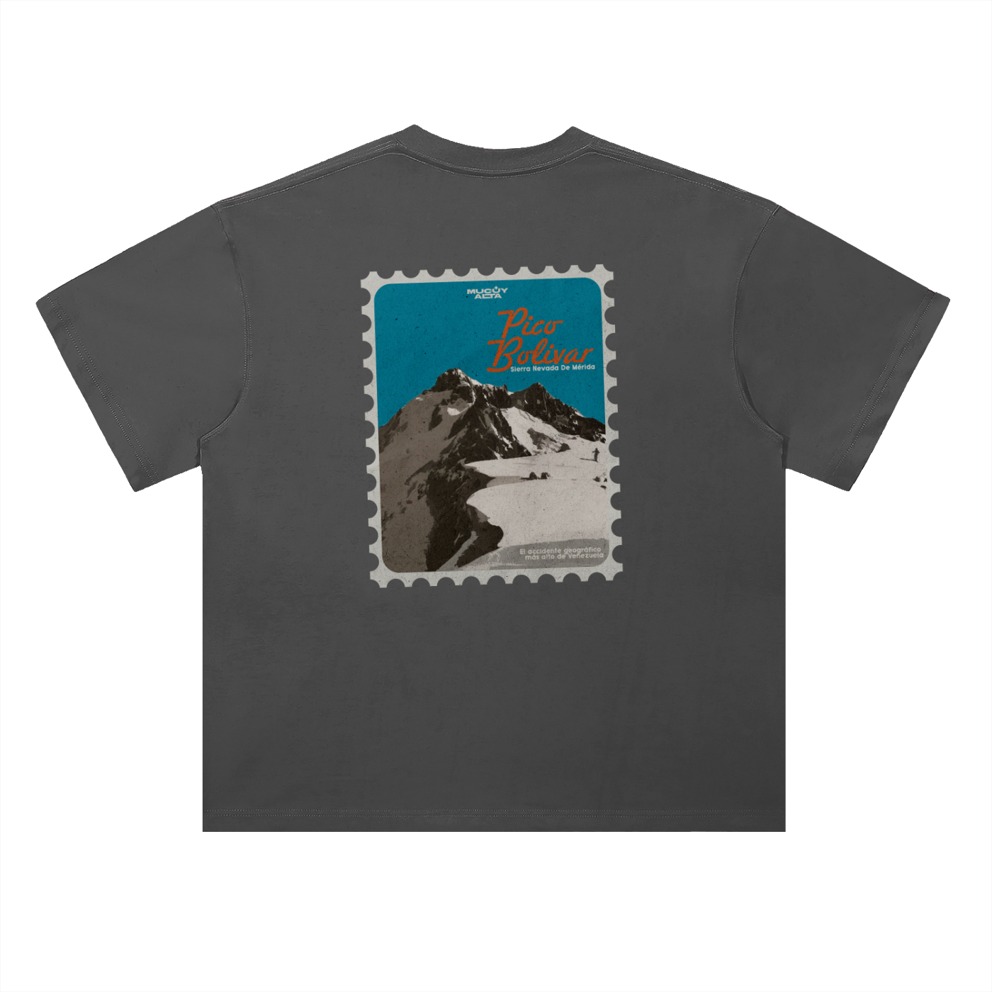 Pico Bolívar Stamp T-Shirt